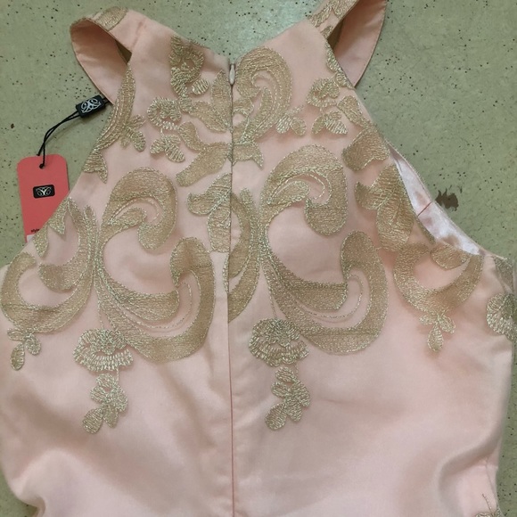 Chi Chi London Women’s Petal Pink Lace Midi Dress - Picture 12 of 14